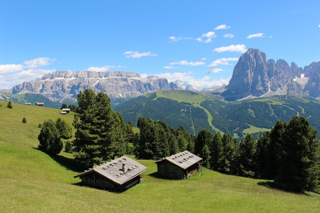 Astor Suites B&B Selva di Val Gardena Bagian luar foto